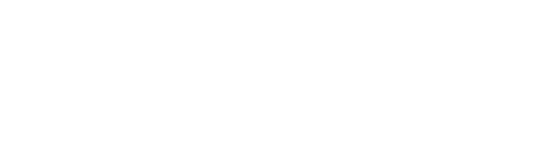 Team Digitale